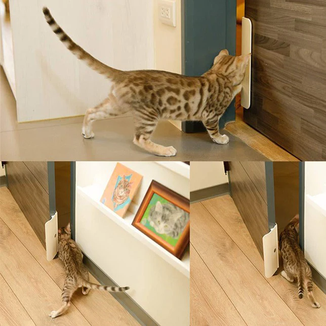 Auto Door Opener