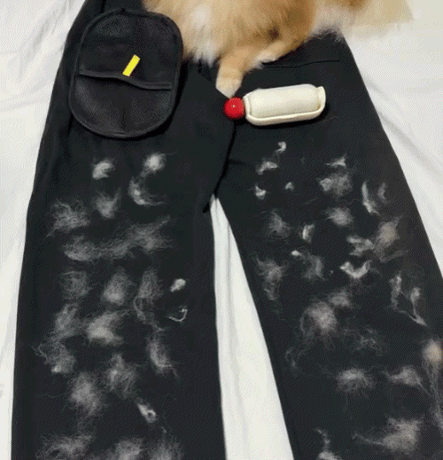 Pet Magic Brush™-Buy One Get One Free