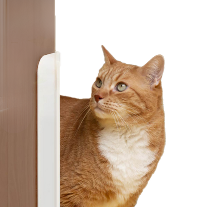 Auto Door Opener