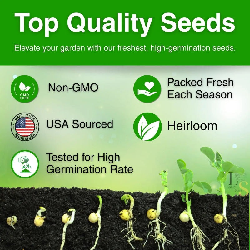 Non-GMO Moss Rose Seeds