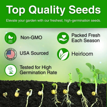Non-GMO Moss Rose Seeds